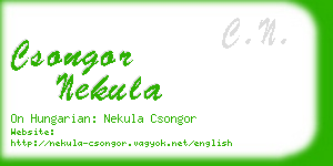 csongor nekula business card